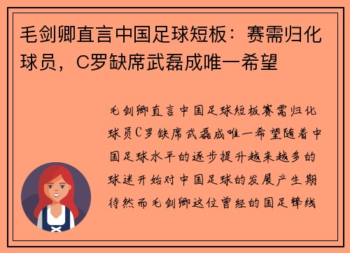 毛剑卿直言中国足球短板：赛需归化球员，C罗缺席武磊成唯一希望